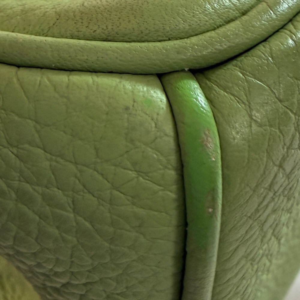 Dior Green Pebbled Leather Medium Issime Shopper Tote with Detachable Pouch - Picture 8 of 10